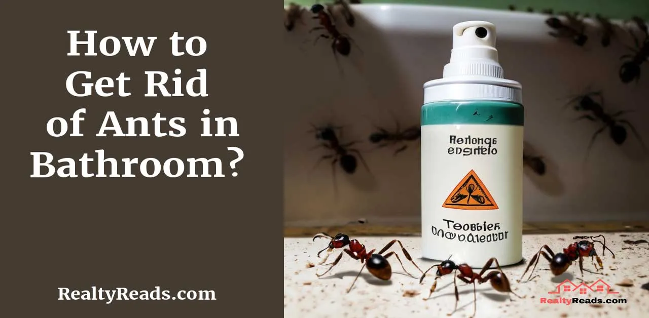 Guide to eliminating ants in the bathroom.